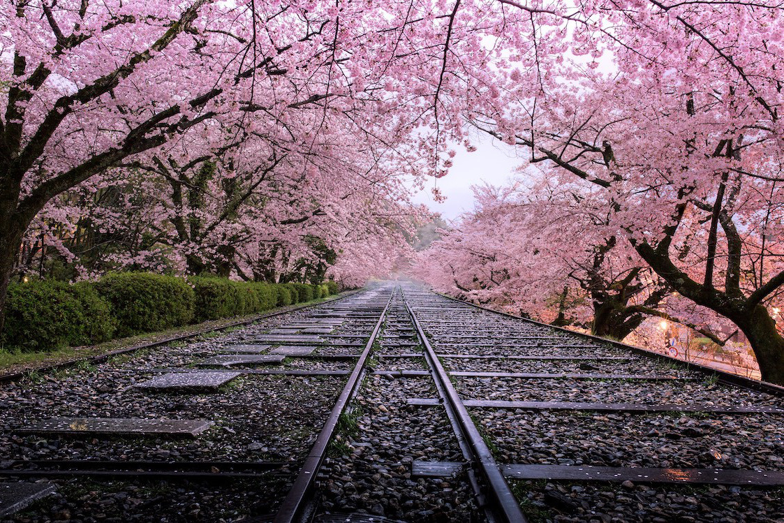 蹴上インクライン Appleに採用された画像 アップル