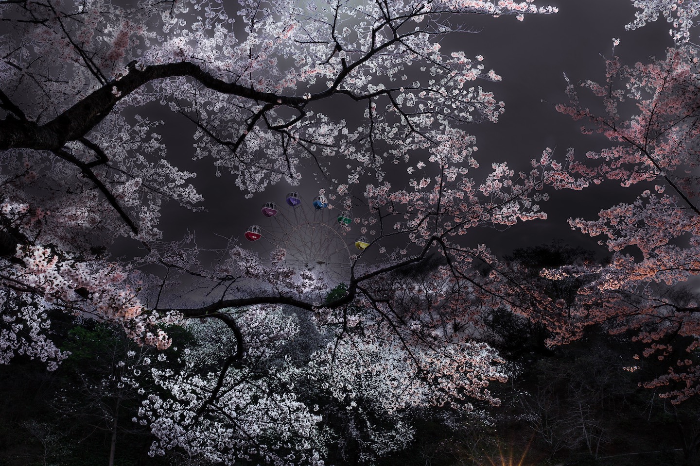 浜松フラワーパーク